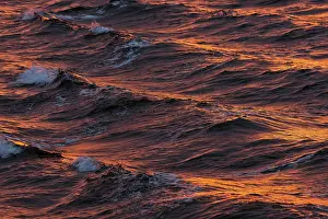 Arctic Ocean Evening Light Prints: Bow waves in the evening light