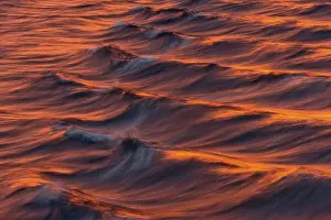 Arctic Ocean Evening Light Prints: Bow waves in the evening light
