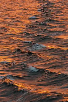 Arctic Ocean Evening Light Prints: Bow waves in the evening light