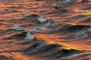 Arctic Ocean Evening Light Prints: Bow waves in the evening light