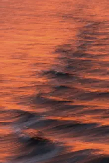 Arctic Ocean Evening Light Prints: Bow waves in the evening light