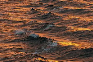 Arctic Ocean Evening Light Prints: Bow waves in the evening light