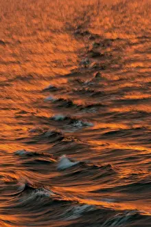 Arctic Ocean Evening Light Prints: Bow waves in the evening light