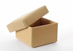 Still Life Studio Photo Prints: Box with lid