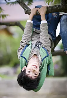 Caucasian Kid Playing Outside Prints: Boy, 8, haning from a tree