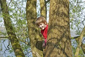 Daytime Leisure Activities Prints: Boy climbing a tree