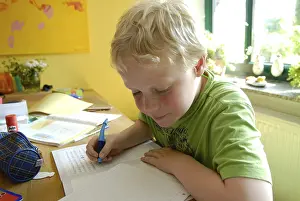 Schoolboy Education Prints: Boy with the homework