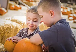 Pumpkin Patch Kids Prints: Two boys at the pumpkin patch talking about their pumpkins and having fun on a fall day