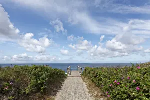 East Frisian Islands Prints: Braderup Heath, path to the mudflats
