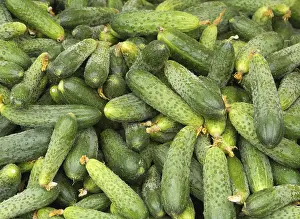 Deserted Vegetable Market Prints: Braised cucumbers