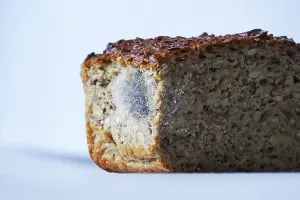 Central Europe Baked Goods Prints: Bread with mould, summer, Germany