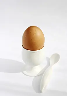 Food Photography Germany Prints: Breakfast egg in egg cup, white background