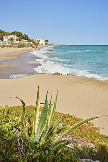 Catalan Shoreline Prints: Breaking waves on a sandy beach