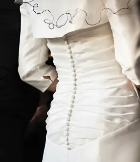 Wedding Celebration Images Prints: Back of a bride