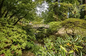 US American Landscape Photography Prints: Bridge over an established stream