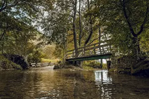 Open Air Water Body Views Prints: Bridge, in nature, over a stream