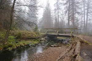 Protected Area In Germany Prints: Bridge at the Oderteich, Nebel