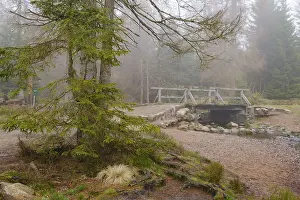 Northern Germany Waterfront Prints: Bridge at the Oderteich, Nebel