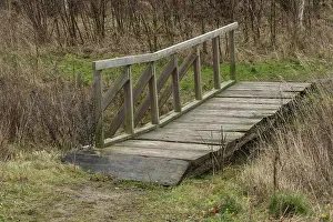 Swedish Countryside Winter Scene Prints: Bridge in path over stream in forest in winter in Ystad