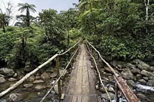 Deserted River Crossing Prints: Bridge over river in rainforest