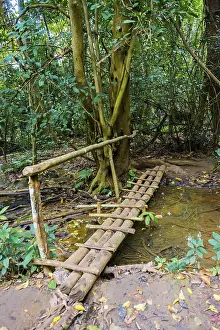 Prints of Bridge over a small stream, rainforest, Tat Kuang Si waterfalls, Luang Prabang, Luang Prabang Province, Laos Laos Prints: Tat Kuang Si Waterfall Print, Laos