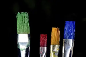 Isolated Studio Photography Prints: Bristle brushes
