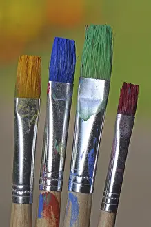 Painting Supplies Prints: Bristle brushes