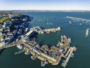 Northern Europe Aerial Landscape Prints: Brixham Harbour from a drone, Devon