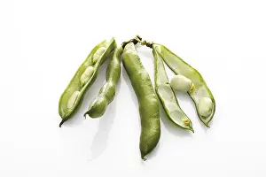 Vegetable Still Life Photography Prints: Broad beans
