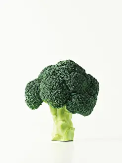 Nature Botany Images Prints: Broccoli