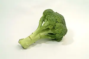 Fresh Green Vegetable Prints: Broccoli