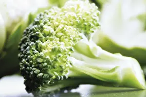 Vegetarian Food Prints: Broccoli floret
