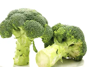 Vegetable Photography Prints: Broccoli, one standing, one laying down