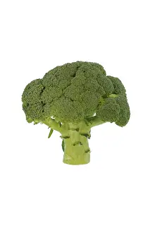 Nutrition Rich Broccoli Prints: Broccoli, studio shot against white background