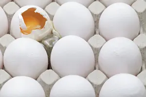Studio Shot Of Eggs Prints: A broken egg among whole eggs in an egg carton