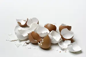 Broken Eggshells Prints: Broken eggshells