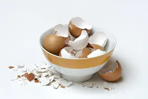 Studio Shot Of Eggs Prints: Broken eggshells in bowl