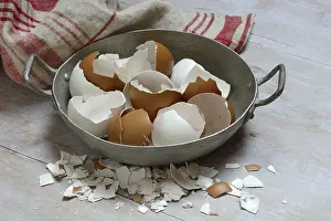 Studio Shot Eggs Prints: Broken eggshells in shells