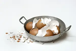 Plain Colored Background Photoshoots Prints: Broken eggshells in shells