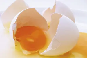 Studio Still Life Prints: Broken open egg