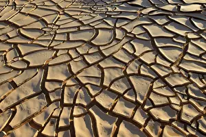 Drought Stricken Landscapes Prints: Broken surface of a dry claypan