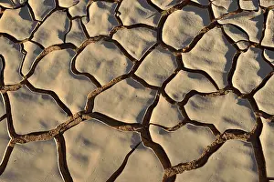 Arabian Peninsula Landscape Prints: Broken surface of a dry claypan