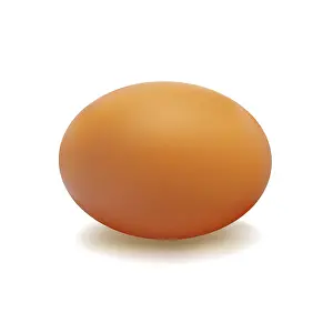 Plain Colored Background Images Prints: Brown egg with a light shadow on white background