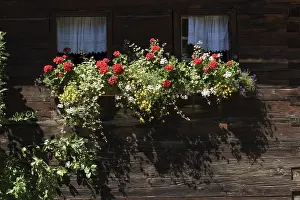 Tyrol Austria Prints: Bschlabs Tyrol Austria