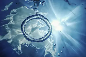 Underwater Ring Prints: Bubble Ring Underwater ascends towards the Sun