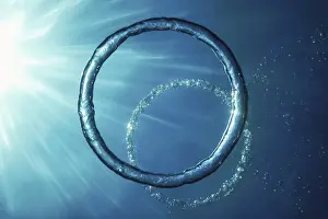 Underwater Ring Prints: Bubble Ring Underwater ascends towards the Sun