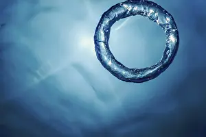 Deserted Underwater Scene Prints: Bubble Ring Underwater ascends towards the Sun