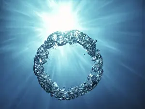 Underwater Ring Prints: Bubble Ring Underwater ascends towards the Sun