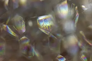German Federal Republic Image Prints: Bubbles, lather, Germany
