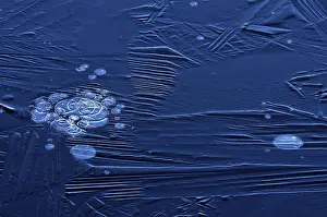 Frozen Winter Scene Prints: Bubbles and structure in ice